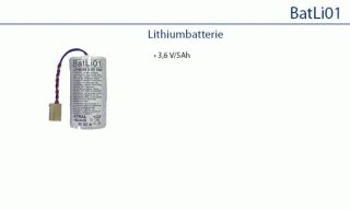 Daitem BATLI01 Lithium-Batteriepack 3,6 V / 5 Ah