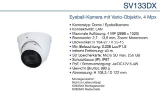 Daitem SV133DX 4MP Eyeballkamera, Motorzoom