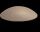 Hansi Türpuffer Bumms, Ø 60 × 15 mm, beige